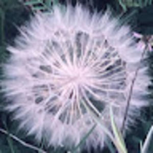 Meet your Posher, Eric l.